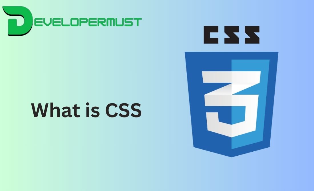 Read more about the article What is CSS ?-Expert Tips,Tricks and Techniques for Beginner